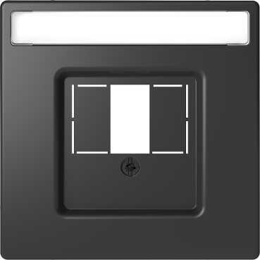 Schneider Electric  MERTEN  D-Life  Антрацит  Центральная Накладка для TAE/Audio/USB MTN4250-6034