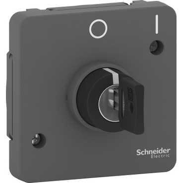Schneider Electric Mureva Styl  Антрацит Переключатель механизм с ключом на 2 положения 3А, IP55 MUR35062