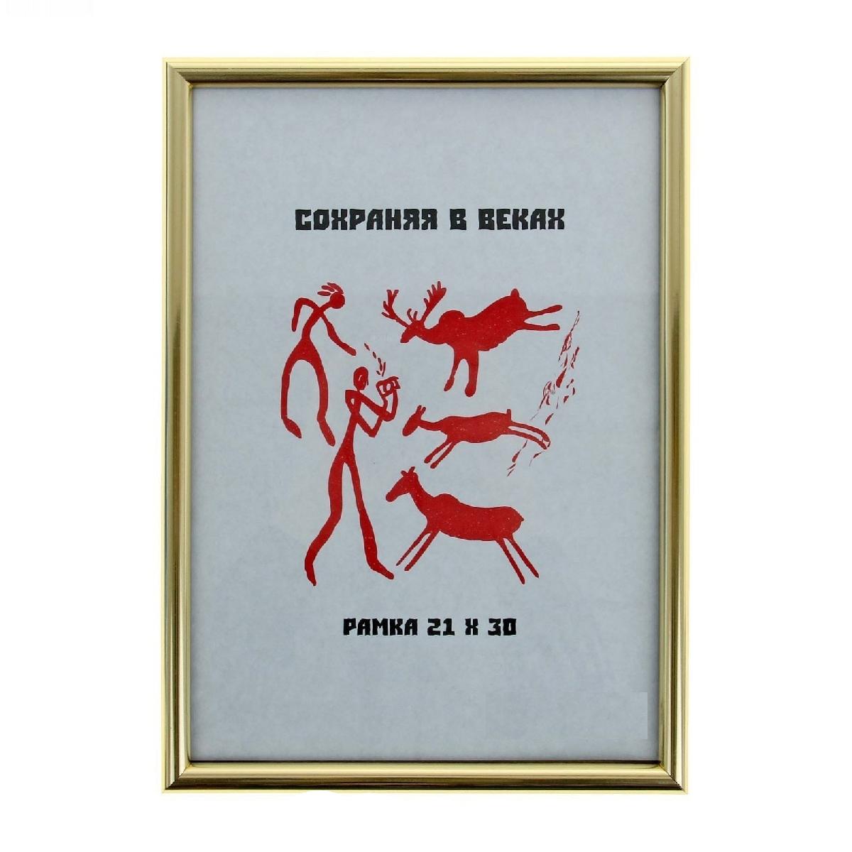 Фоторамка пластик с20 21х30, золото