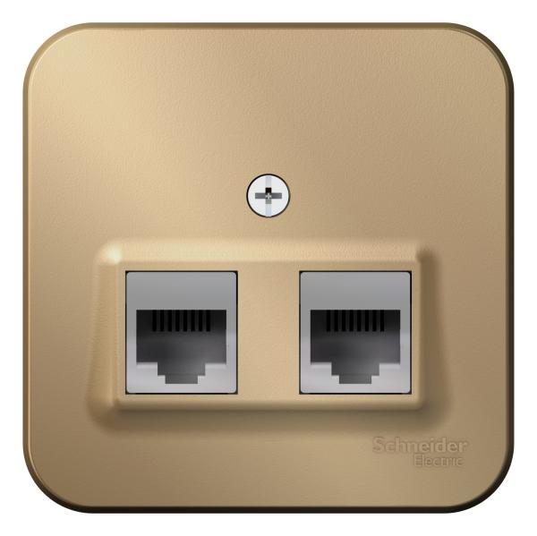 Schneider Electric  BLANCA  Титан  Розетка 2-местная: компьютерная RJ45, категория5Е + телефонная RJ11 изолирующая пластина открытая установка BLNIA045114
