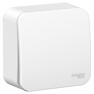 Schneider Electric  BLANCA  Белый  Переключатель 1-клавишный (cхема.6) изолирующая пластина, 10А, 250B, IP20, открытая установка BLNVA106011