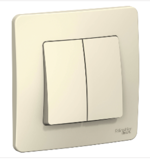 Schneider Electric  BLANCA  Молочный Выключатель 2- клавишный (cх.5) 6А, 250В, скрытая установка  BLNVS006502