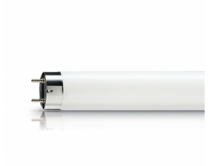 Люминисцентная лампа  PHILIPS  36Вт  6500К  G13