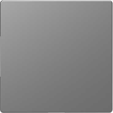 Schneider Electric  MERTEN  D-Life  Нержавеющая Сталь  Заглушка MTN4075-6036