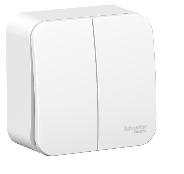 Schneider Electric  BLANCA  Белый  Выключатель 2-клавишный (cхема.5) изолирующая пластина, 6А, 250B, IP20  открытая установка BLNVA065011