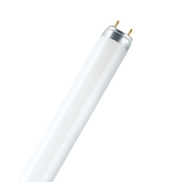Люминесцентная лампа Osram L 15W/865 25X1 LF