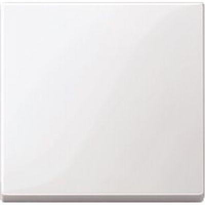 Schneider Electric Merten  Белый  Клавиша 1-местная MTN432119