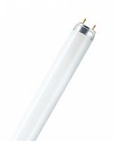 Люминесцентная лампа OSRAM L 18Вт 765 G13 6500K