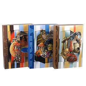 Фотоальбом 300ф Image Art  10*15 серия 198 кейс