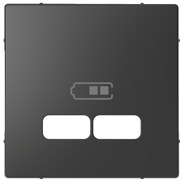 Schneider Electric  MERTEN  D-Life  Антрацит  Центральная Накладка для USB механизма 2,1А MTN4367-6034