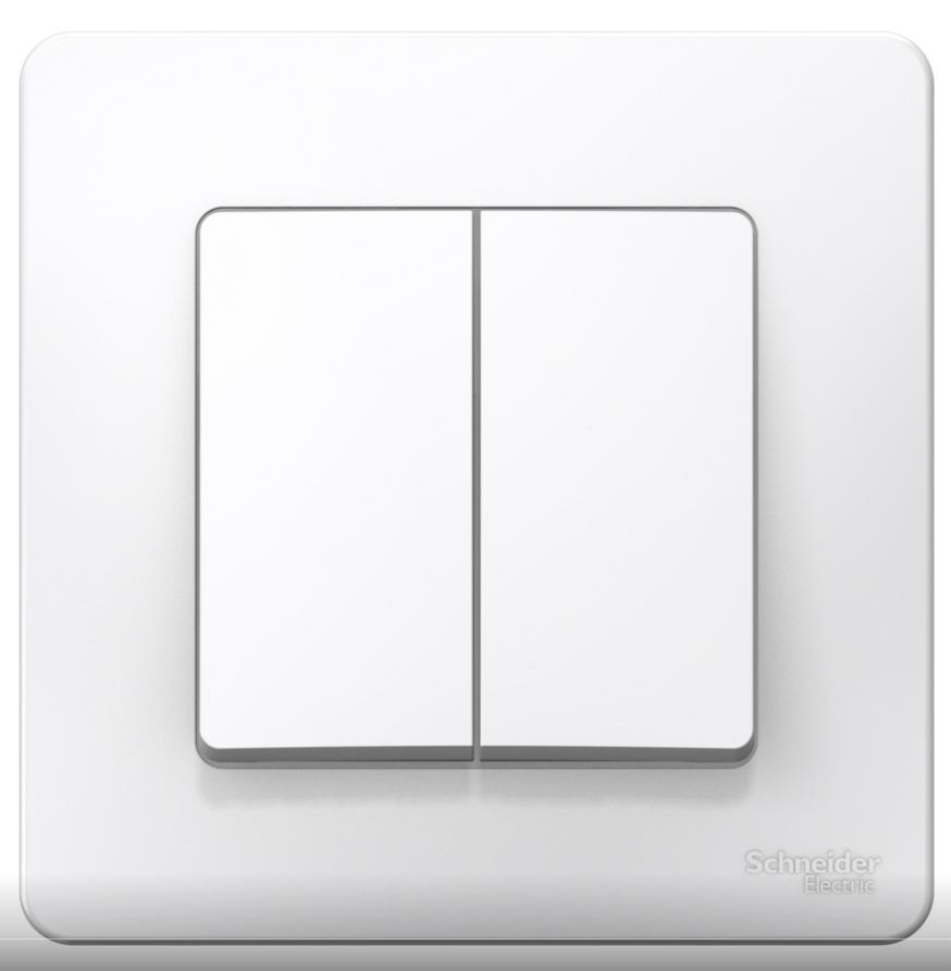 Schneider Electric  BLANCA  Белый  Выключатель 2-клавишный (cхема 5) 6А, 250В, IP20  скрытая установка BLNVS006501