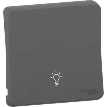 Schneider Electric Mureva Styl  Антрацит Клавиша с символом "Свет" IP55 MUR34202