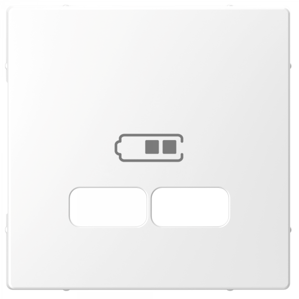 Schneider Electric  MERTEN  D-Life  Белый Лотос  Центральная Накладка для USB механизма 2,1А MTN4367-6035