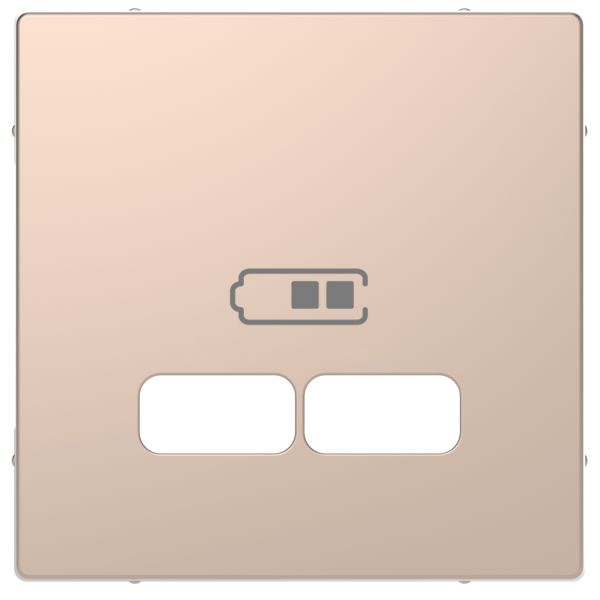 Schneider Electric  MERTEN  D-Life  Шампань  Центральная Накладка для USB механизма 2,1А MTN4367-6051