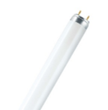 Люминисцентная лампа OSRAM L 38W/830 25X1 LF