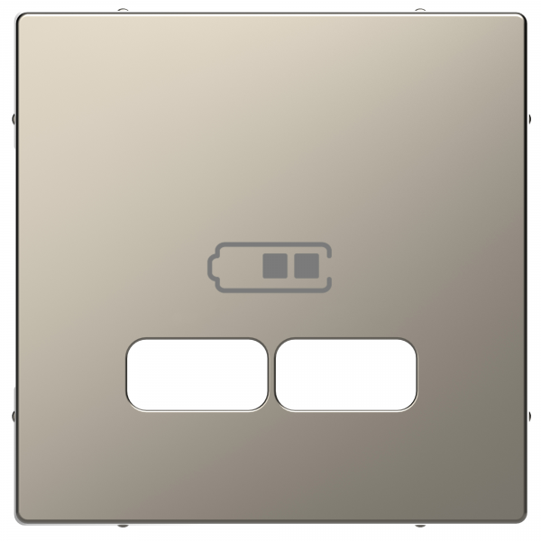 Schneider Electric  MERTEN  D-Life  Никель  Центральная Накладка для USB механизма 2,1А MTN4367-6050