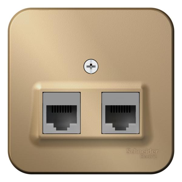 Schneider Electric  BLANCA  Титан  Розетка 2-местная компьютерная RJ45, категория 5E, изолирующая пластина, открытая установка  BLNIA045454