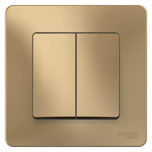 Schneider Electric  BLANCA  Титан  Выключатель 2-клавишный (cх.5), 10А, 250B, скрытая установка BLNVS010504