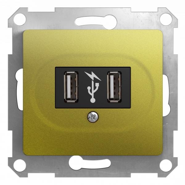 Schneider Electric Glossa Фисташковый Розетка USB, 5В /1400 мА, 2 х 5В /700 мА, механизм IP20 скрытая установка GSL001032