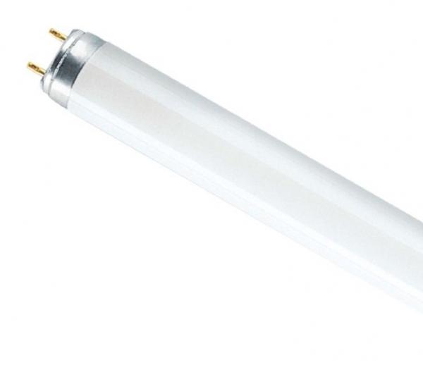 Люминисцентная лампа Osram L 58W/765 25X1 LF