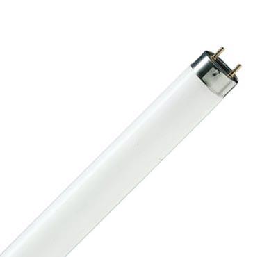 Люминесцентная лампа  Philips  T8  58,5Вт  111В  6200К  G13