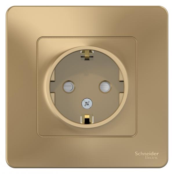 Schneider Electric  BLANCA  Титан  Розетка с заземляющими контактами со шторками, 16А, 250В, скрытая установка BLNRS001114