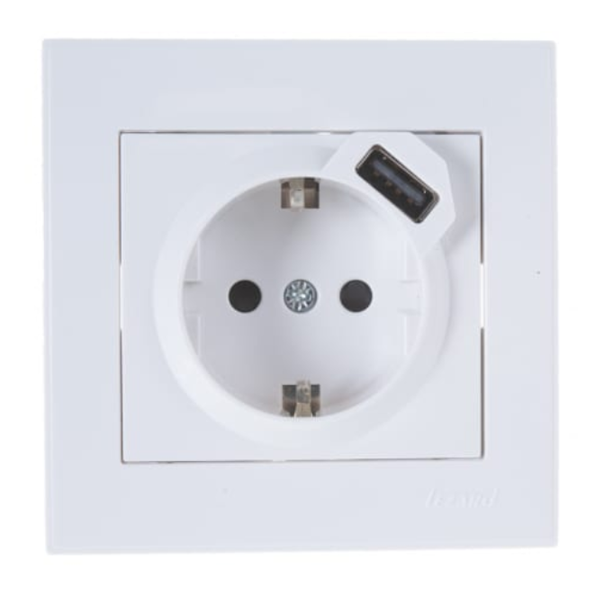 Lezard  Rain  Белый Розетка с заземляющими контактами + USB разъём 703-0202-181