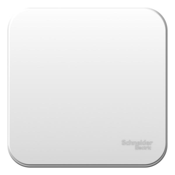 Schneider Electric  BLANCA  Белый  Выключатель 1-клавишный (cхема.1) монтажная пластина,10А, 250B, открытая установка BLNVA101021