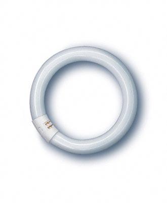 Люминесцентная лампа OSRAM L 32Вт 840/640 G10q кольцевая