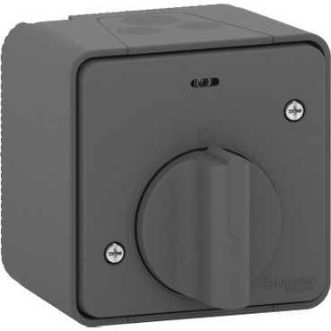Schneider Electric Mureva Styl  Антрацит Выключатель в сборе с таймером открытая установка IP55 MUR35067