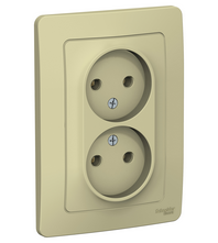 Schneider Electric  BLANCA  Бежевый Розетка 2-местная без заземляющих контактов , 16А, 250В,  скрытая установка BLNRS000027