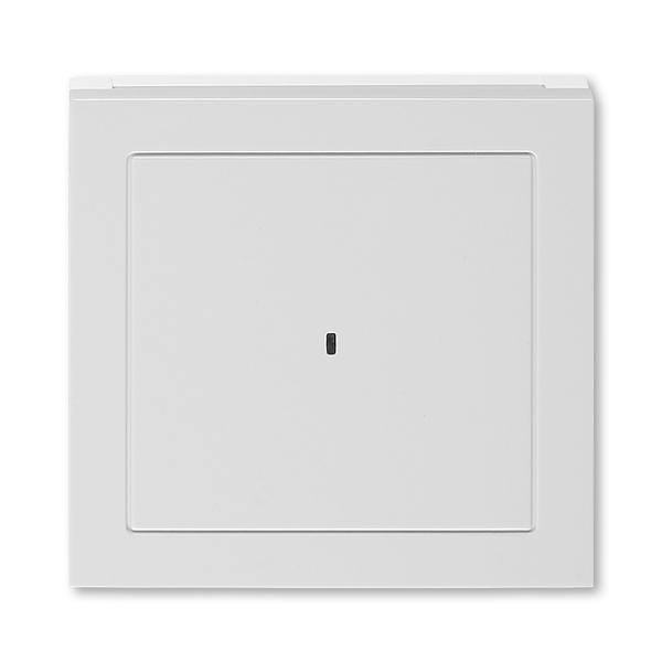ABB  Levit  Серый/Белый Накладка для выключателя карточного, 2CHH590700A4016