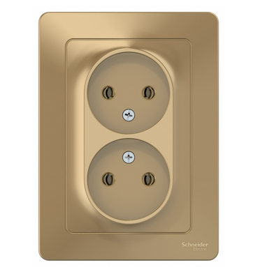 Schneider Electric  BLANCA  Титан  Розетка 2-местная без заземляющих контактов без шторок, 16А, 250В, скрытая установка BLNRS000024