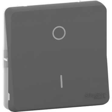 Schneider Electric Mureva Styl  Антрацит Переключатель механизм 2-полюсный IP55 MUR35034