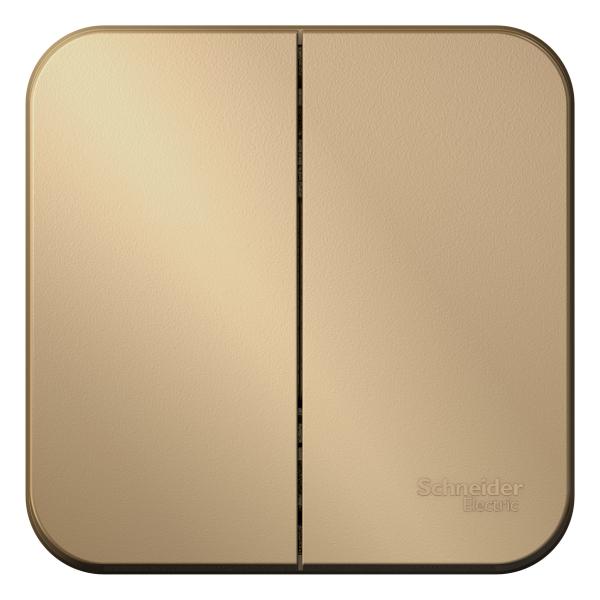 Schneider Electric  BLANCA  Титан  Выключатель 2-клавишный (cхема.5) изолирующая пластина 10А, 250B, , открытая установка    BLNVA105014