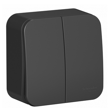Schneider Electric  BLANCA  Антрацит  Выключатель 2-клавишный (cхема.5) 10А, 250B, открытая установка BLNVA105006