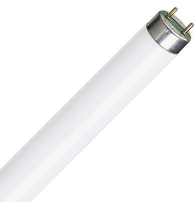 Люминесцентная лампа  Philips  T8  18Вт  3000К  G13