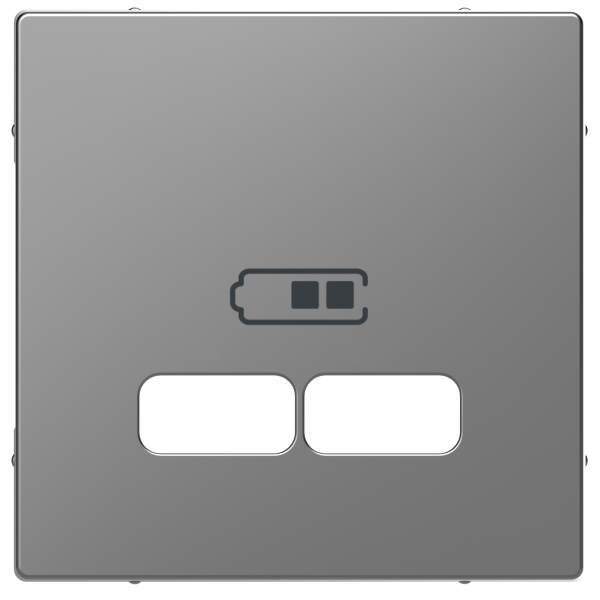 Schneider Electric  MERTEN  D-Life  Нержавеющая Сталь  Центральная Накладка для USB механизма 2,1А MTN4367-6036