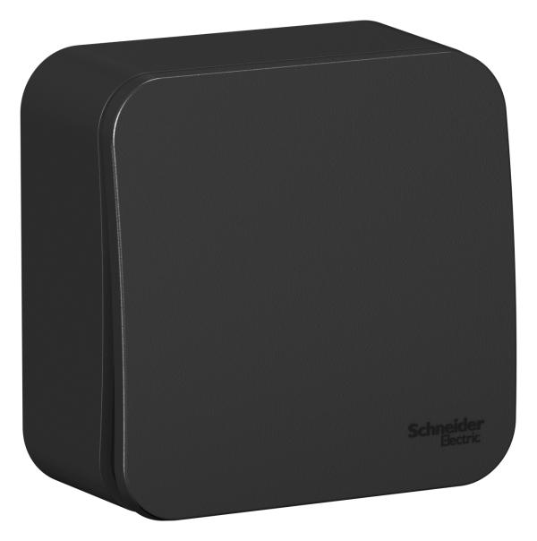 Schneider Electric  BLANCA  Антрацит  Переключатель 1-клавишный (cхема.6) изолирующая пластина 10А, 250B, открытая установка BLNVA106016